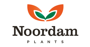 Noordam logo